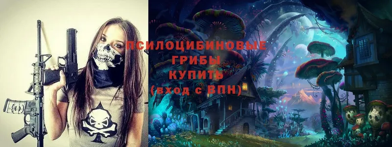 kraken рабочий сайт  Калтан  Галлюциногенные грибы MAGIC MUSHROOMS 